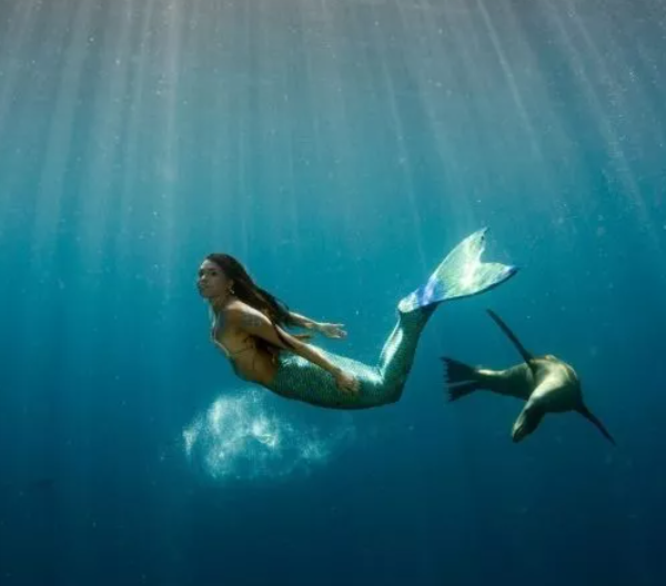 Are Mermaids Just a Myth?